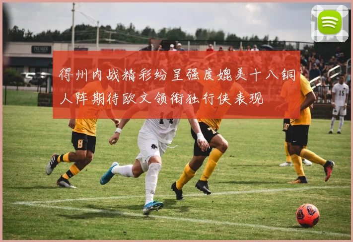 得州内战精彩纷呈强度媲美十八铜人阵期待欧文领衔独行侠表现