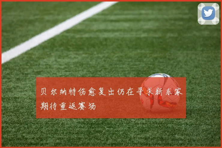 贝尔纳特伤愈复出仍在寻求新东家期待重返赛场