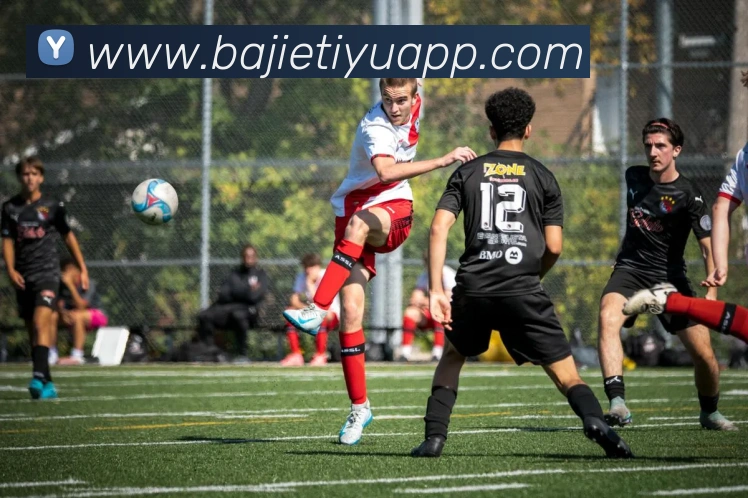 App Interface Preview