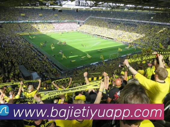 八戒体育APP 封面图