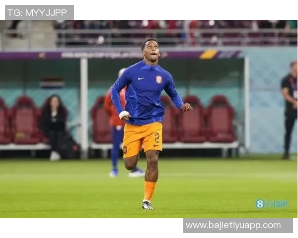 前裁判解析廷伯点球争议：身体接触延续至禁区上半身犯规更易被识别